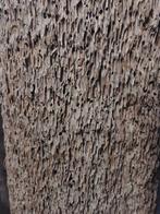 Decoratieve piek, Ophalen