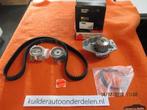 Distributieset + Waterpomp Citroen berlingo Peugeot 1,9D Gat, Auto-onderdelen, Ophalen of Verzenden, Nieuw, Citroën