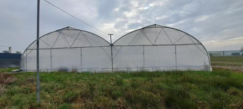 Tunnelserre 20m x 30m, Diversen, Overige Diversen, Gebruikt, Ophalen