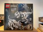 Lego ideas 21320, Kinderen en Baby's, Speelgoed | Duplo en Lego, Ophalen of Verzenden, Zo goed als nieuw, Lego