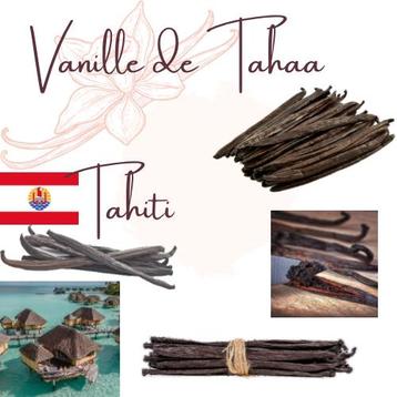 20 Vanillestokjes van Tahaa - Tahiti
