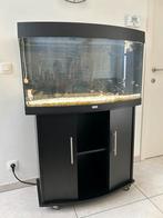 juwel vision 180 / 92x41x55 cm met kast, Aquarium d'eau douce rempli, Enlèvement, Utilisé