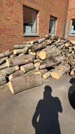 Houd, Tuin en Terras, Ophalen