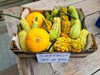 Sierfruit & Pompoenen, Ophalen
