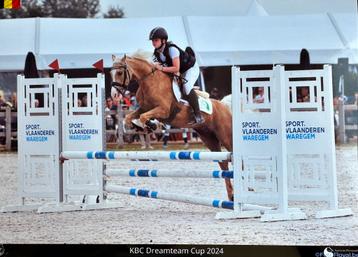 Gouden kinderpony beschikbaar voor biedingen