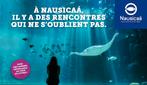 4 billets adultes pour visiter l'aquarium Nausicaa