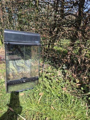 Exo Terra Terrarium met 4D achtergrond beschikbaar voor biedingen