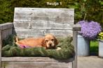 Heel mooie rode Engelse Cocker pupjes, Dieren en Toebehoren, Honden | Retrievers, Spaniëls en Waterhonden, CDV (hondenziekte)
