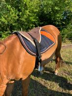 Paardenspullen, Dieren en Toebehoren, Ophalen, Gebruikt, Dekje