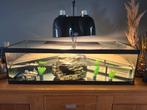 aquarium plus 2 schildpadden, Dieren en Toebehoren, Ophalen, Zo goed als nieuw