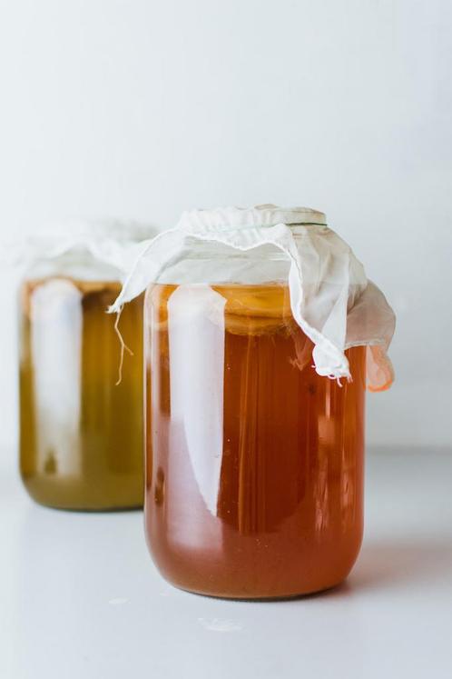 Scoby om zelf kombucha te maken, Diversen, Levensmiddelen, Ophalen