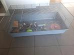 Hamsterkooi met toebehoren, Dieren en Toebehoren, Kooi, 110 cm of meer, Zo goed als nieuw, Hamster