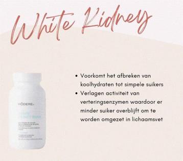 Modere. White Kidney Bean beschikbaar voor biedingen