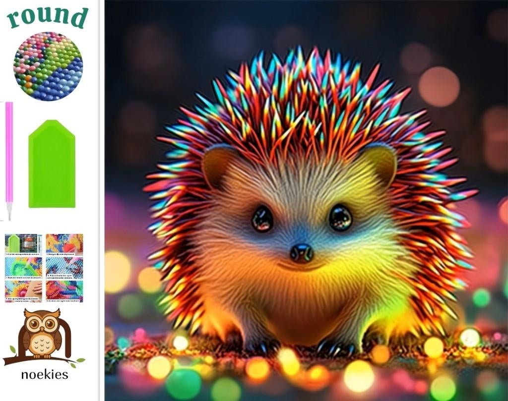 nr 584 Peinture au diamant hérisson coloré 40x40cm (rond), Neuf, Multicolore, Autocollant, Autres matériaux