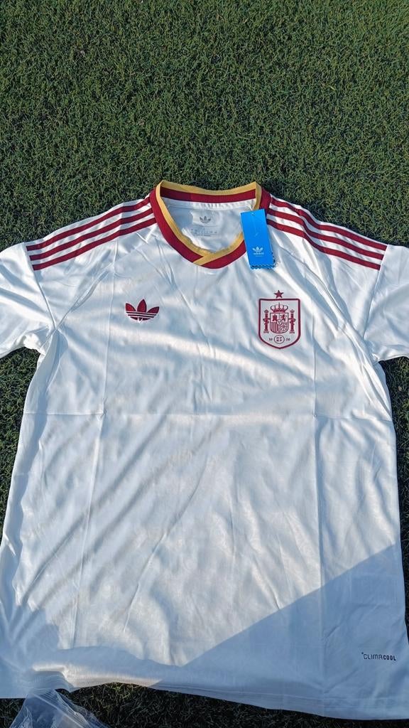 Coupe du monde d'Espagne 2026, Taille L, Enlèvement ou Envoi, Maillot
