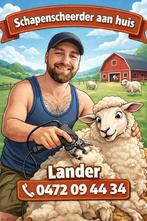 Schapenscheerder aan huis, Dieren en Toebehoren, Maart