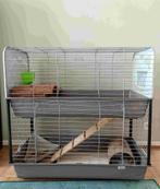 Cage pour cochon d'inde ou lapin, 90 cm ou plus, 75 à 110 cm, Cage, Cobaye