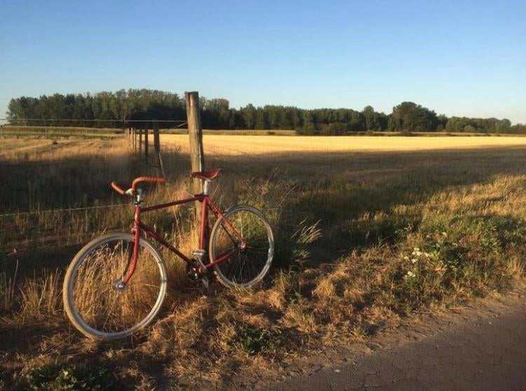 Achielle Sam maat 57, Fietsen en Brommers, Fietsen | Heren | Herenfietsen, Terugtraprem, Gebruikt, Versnellingen, 57 tot 61 cm