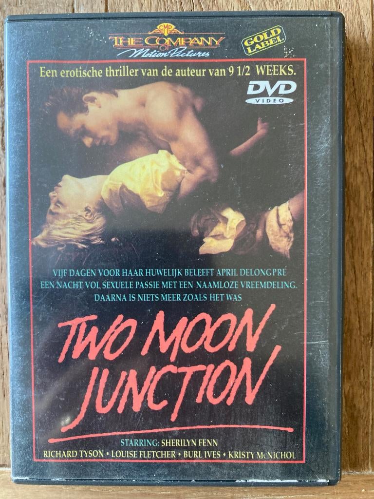 Two Moon Junction, CD & DVD, DVD | Thrillers & Policiers, Utilisé, Enlèvement ou Envoi