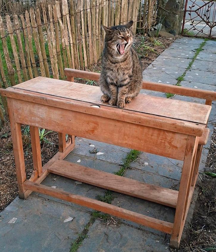 Joli pupitre d'école rétro vintage, Maison & Meubles, Bureaux, Utilisé, Bureau, Enlèvement