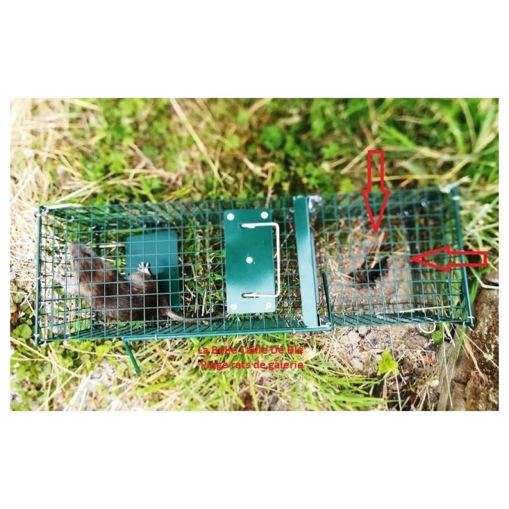 Ongediertebestrijding: slimme rattenval, Bricolage & Construction, Thermostats, Neuf, Enlèvement ou Envoi