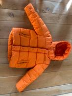 Hugo boss & Tommy Hilfiger kinderjas, Ophalen, Zo goed als nieuw