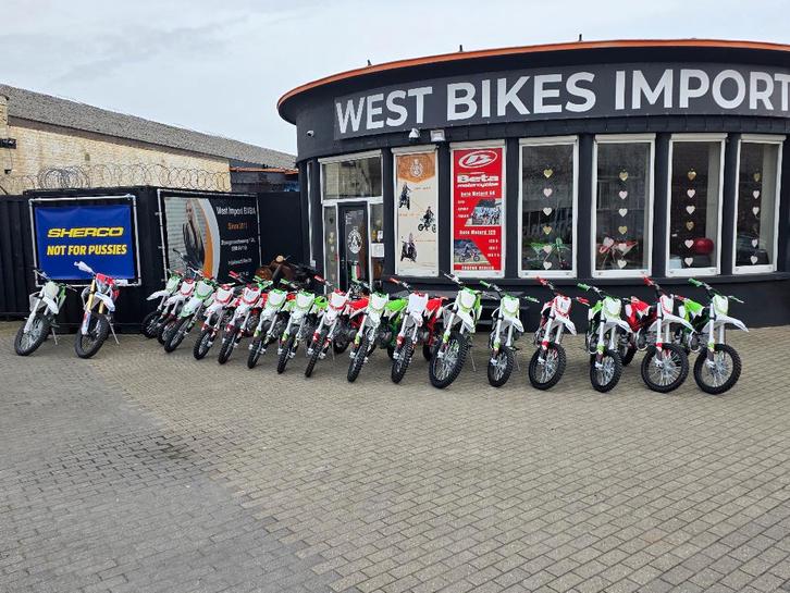 Apollo Thunder Pitbike | 250 cc | Beste Prijs, Fietsen en Brommers, Minibikes, Midibikes en Pitbikes, Pitbike, Ophalen of Verzenden