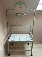 Papegaaienstandaard, Dieren en Toebehoren