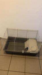 Knaagdieren kooi, Enlèvement, Comme neuf, Cage