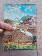 Carte rétro avec vue en profondeur avec oiseaux, Collections, Cartes postales | Thème, Enlèvement ou Envoi