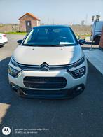 Citroen, Auto's, Voorwielaandrijving, Euro 6, Beige, Bedrijf