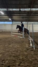 Paard/halve stal gezocht