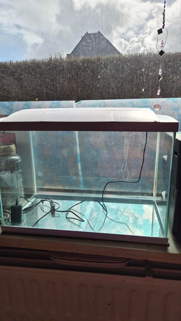 Aquarium superfish  60l, Animaux & Accessoires, Enlèvement