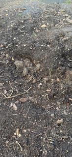 Gratis opvulgrond, Tuin en Terras, Ophalen, Tuinaarde