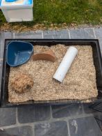 Cage à hamster avec armoire de rangement, Enlèvement, Cage, Hamster