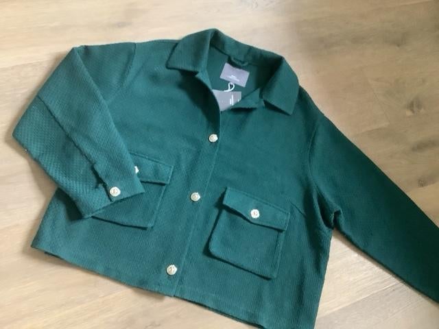 Nieuw groen vestje CARMAKOMA + sjaal - XXL, Vêtements | Femmes, Vestes | Été, Enlèvement ou Envoi, Neuf, Vert