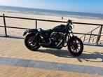 Bonjour je vend une Harley davidson iron 883 état neufs neuf, Motoren, Motoren | Harley-Davidson, Particulier