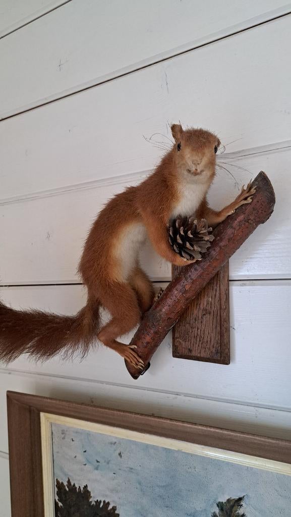 Décoration d'intérieur, Maison & Meubles, Accessoires pour la Maison | Autre, Enlèvement