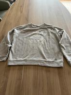 Pull gris Tommy Hilfiger M, Enlèvement ou Envoi, Comme neuf, Taille 38/40 (M)