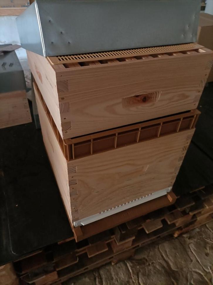 Ruches dadant 10 cadres complètes, Diversen, Overige Diversen, Ophalen