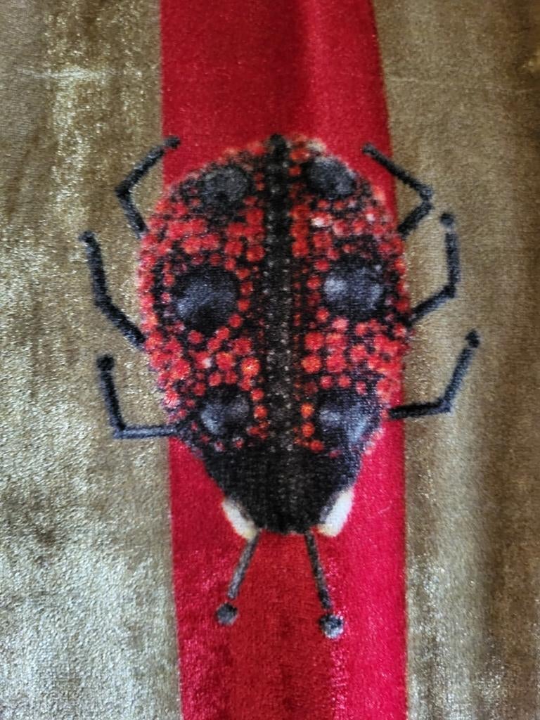 Nieuwe mooie sjaal merk Yess, Ophalen of Verzenden, Sjaal