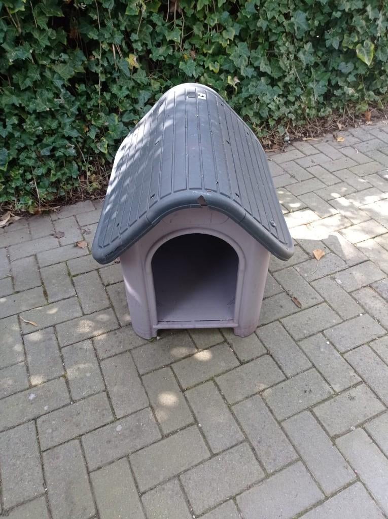 Hondenhok in kunststof -, Ophalen, Gebruikt, 65 tot 100 cm, Minder dan 75 cm