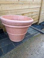 Grand pot de fleurs, Enlèvement