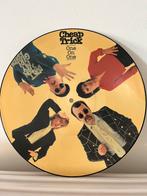 Vinyl PD Cheap Trick “One On One”, Ophalen of Verzenden, Gebruikt