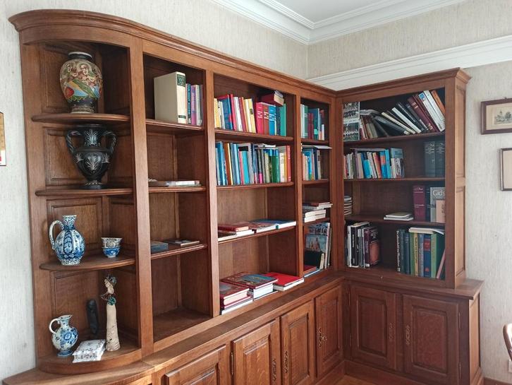 boekenkast/bibliotheekkast, Huis en Inrichting, Kasten | Boekenkasten, Zo goed als nieuw, 200 cm of meer, 200 cm of meer, 25 tot 50 cm