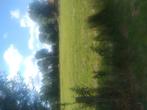 Weide en stalling te huur, Dieren en Toebehoren, Stalling en Weidegang, Stalling