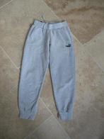 joggingbroek dames Puma S, Vêtements | Femmes, Vêtements de sport, Gris, Puma, Taille 36 (S), Comme neuf