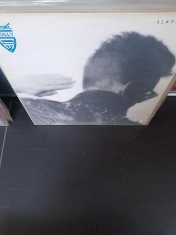 lp - chrome molly - slaphead beschikbaar voor biedingen