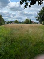 Prachtige (paarden) weide te balen te huur, Dieren en Toebehoren, Stalling en Weidegang