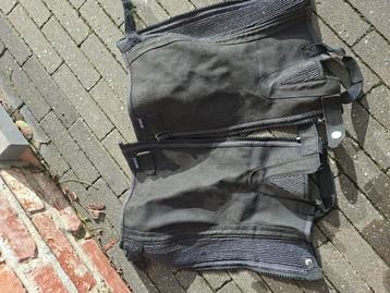 Maat small chaps harry horses  beschikbaar voor biedingen